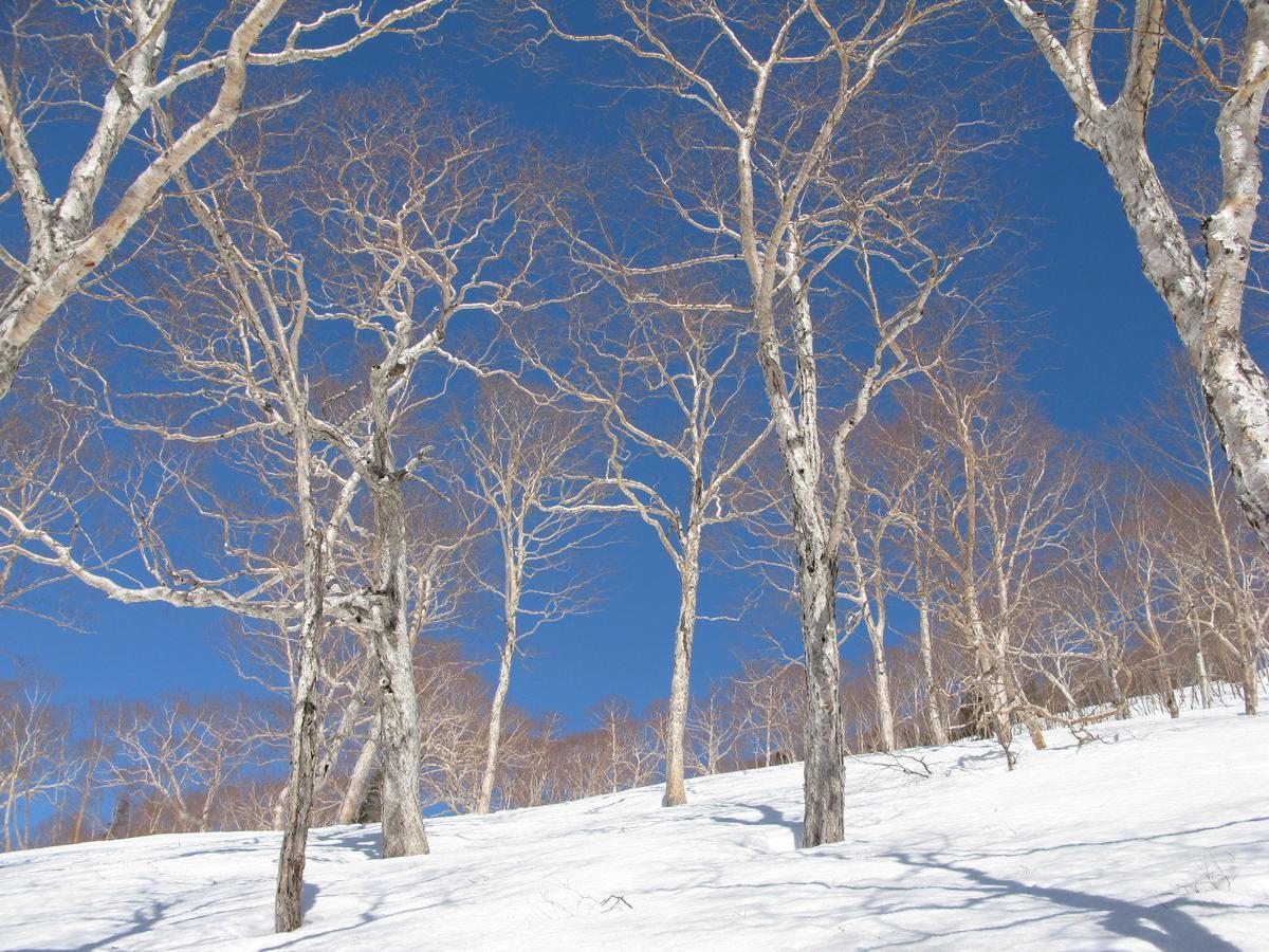 Resort Project Myoko Kogen Экстерьер фото